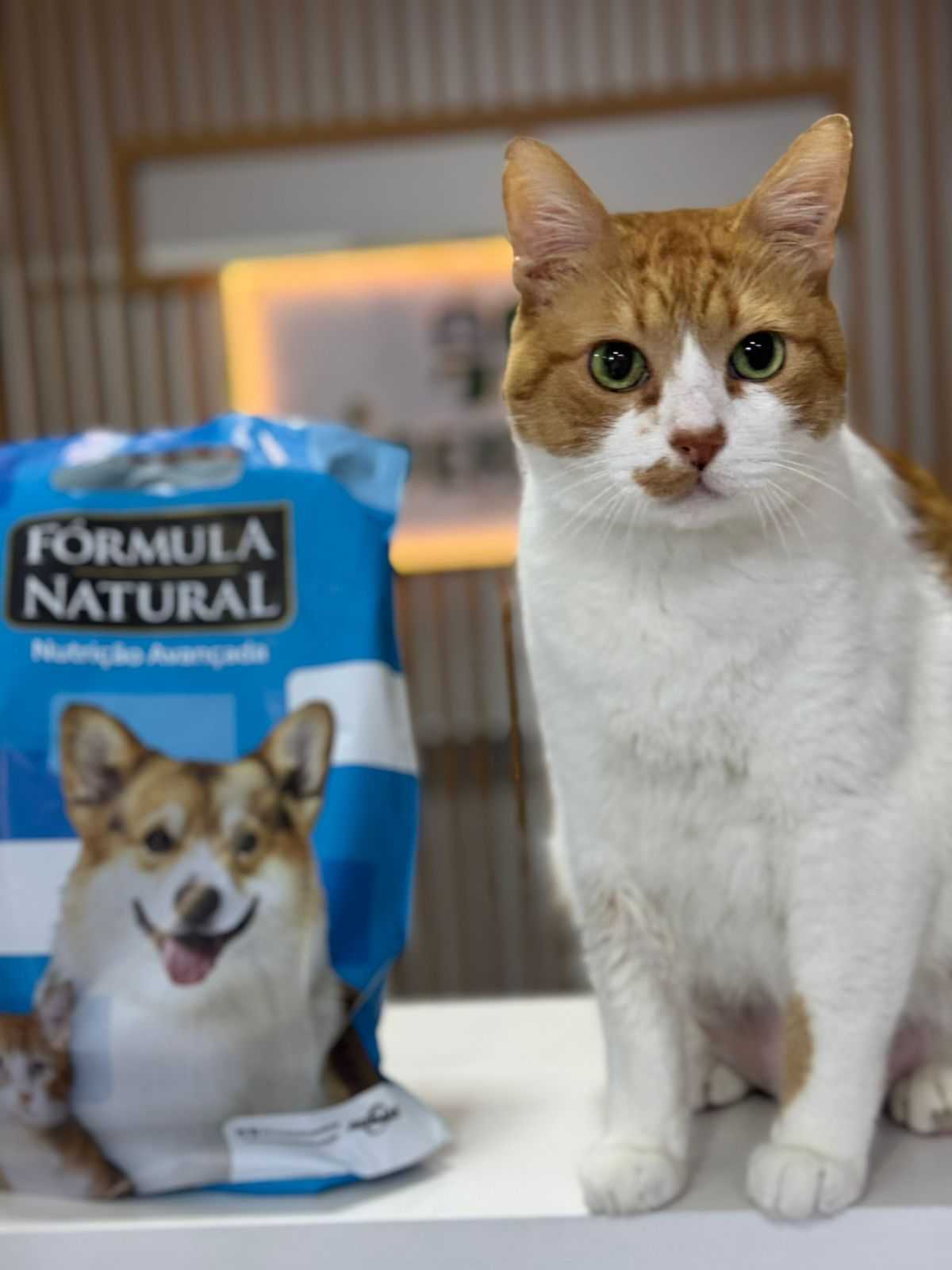 Nutrição Animal Landing Image