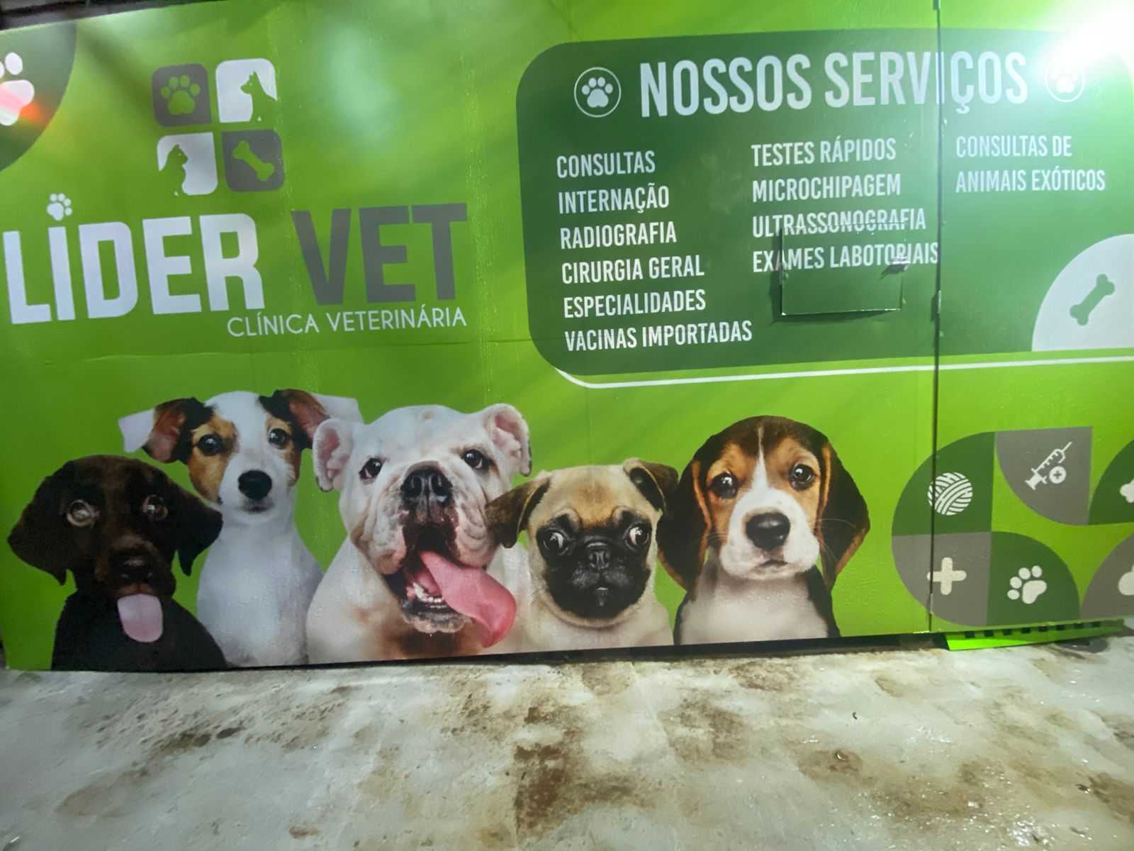 Foto da Galeria